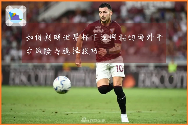 如何判断世界杯下注网站的海外平台风险与选择技巧