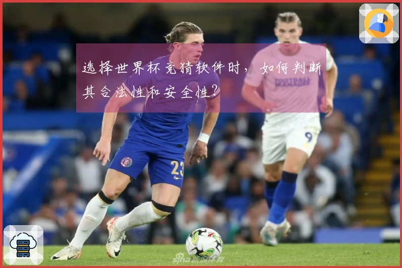 选择世界杯竞猜软件时，如何判断其合法性和安全性？