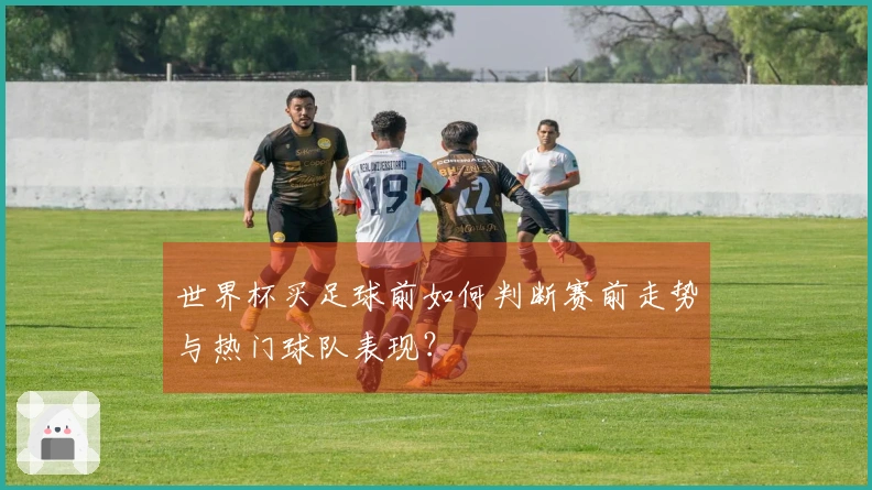 世界杯买足球前如何判断赛前走势与热门球队表现？