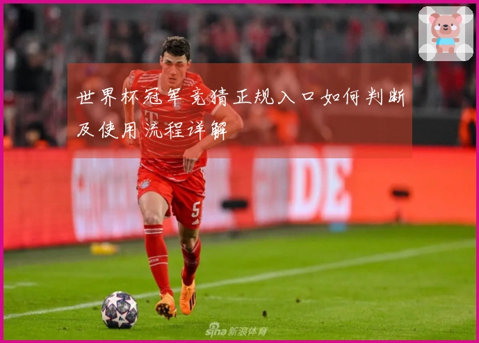 世界杯冠军竞猜正规入口如何判断及使用流程详解