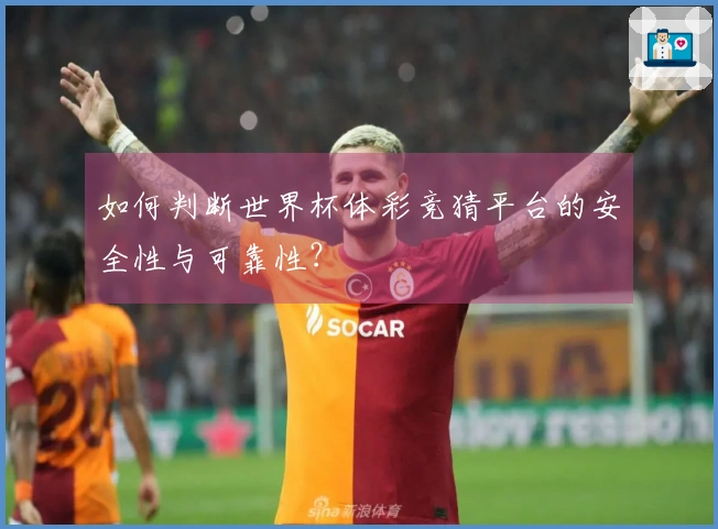如何判断世界杯体彩竞猜平台的安全性与可靠性？