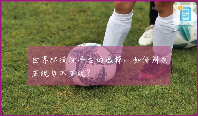 世界杯投注平台的选择，如何辨别正规与不正规？