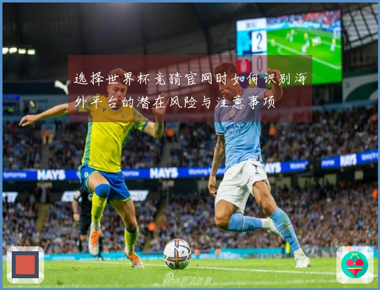 选择世界杯竞猜官网时如何识别海外平台的潜在风险与注意事项