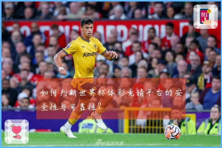 如何判断世界杯体彩竞猜平台的安全性与可靠性？