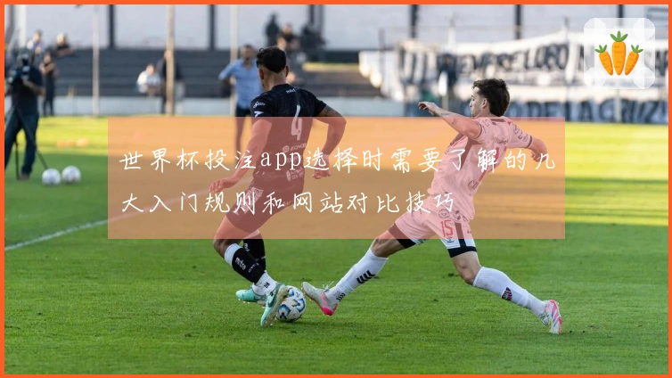 欧博官网体育资讯图片